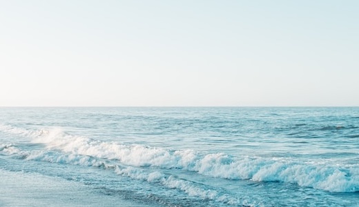 シエスタ公式サイトをリニューアルしました!